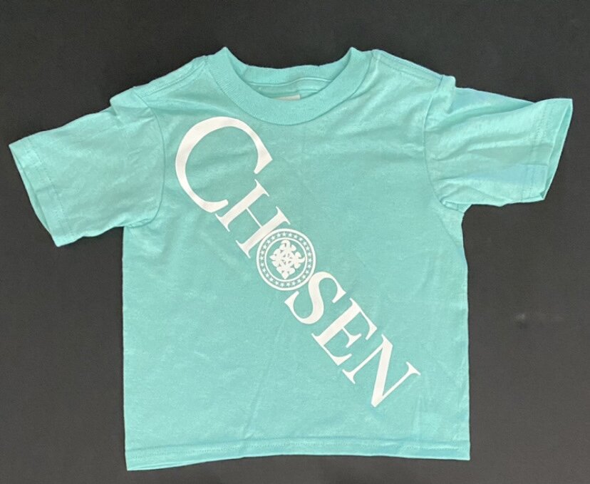 Chosen 2t kids t shirt