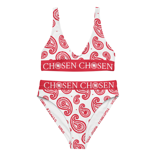 Chosen Bandanna high-waisted bikini